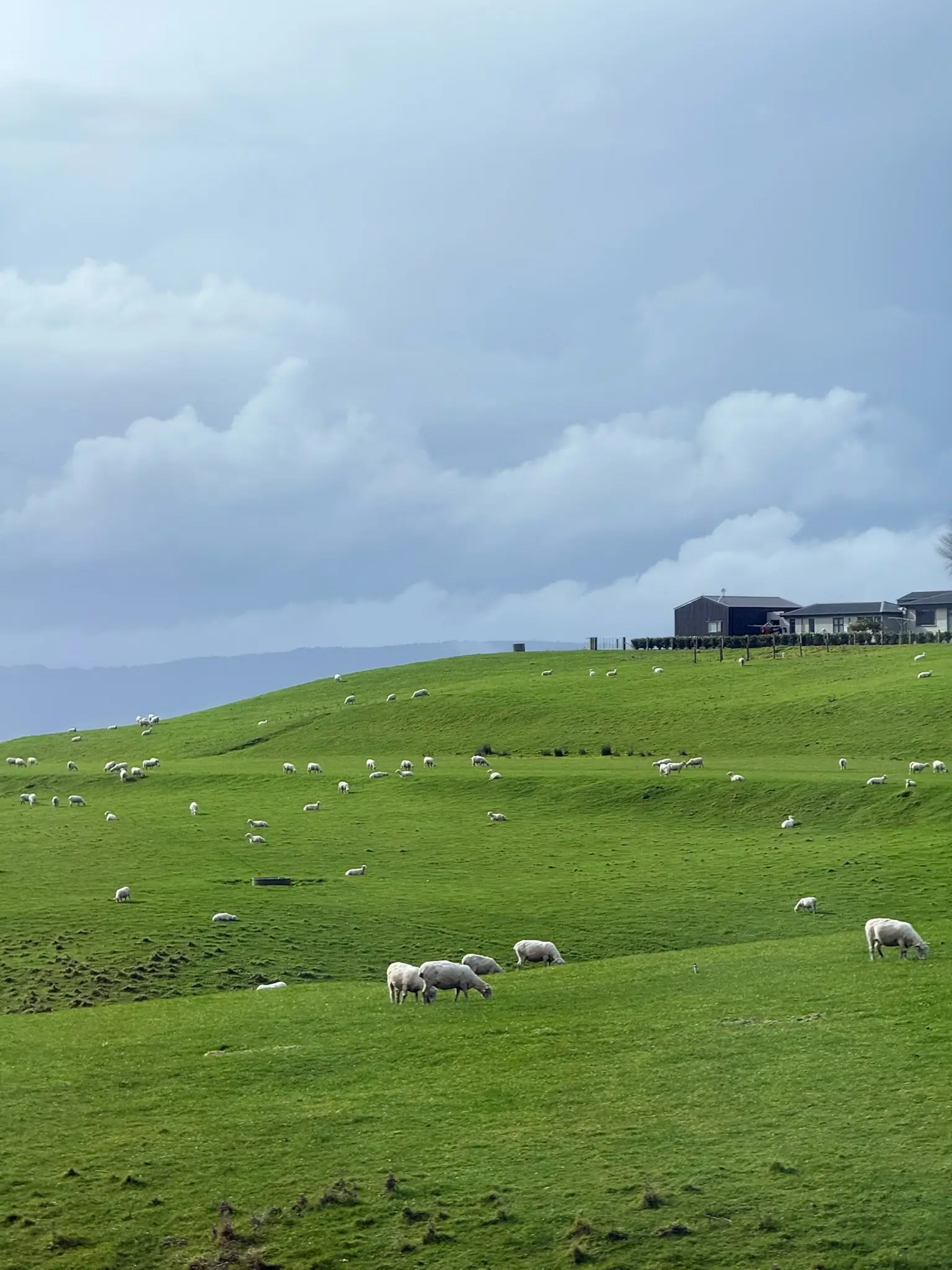 New Zealand
