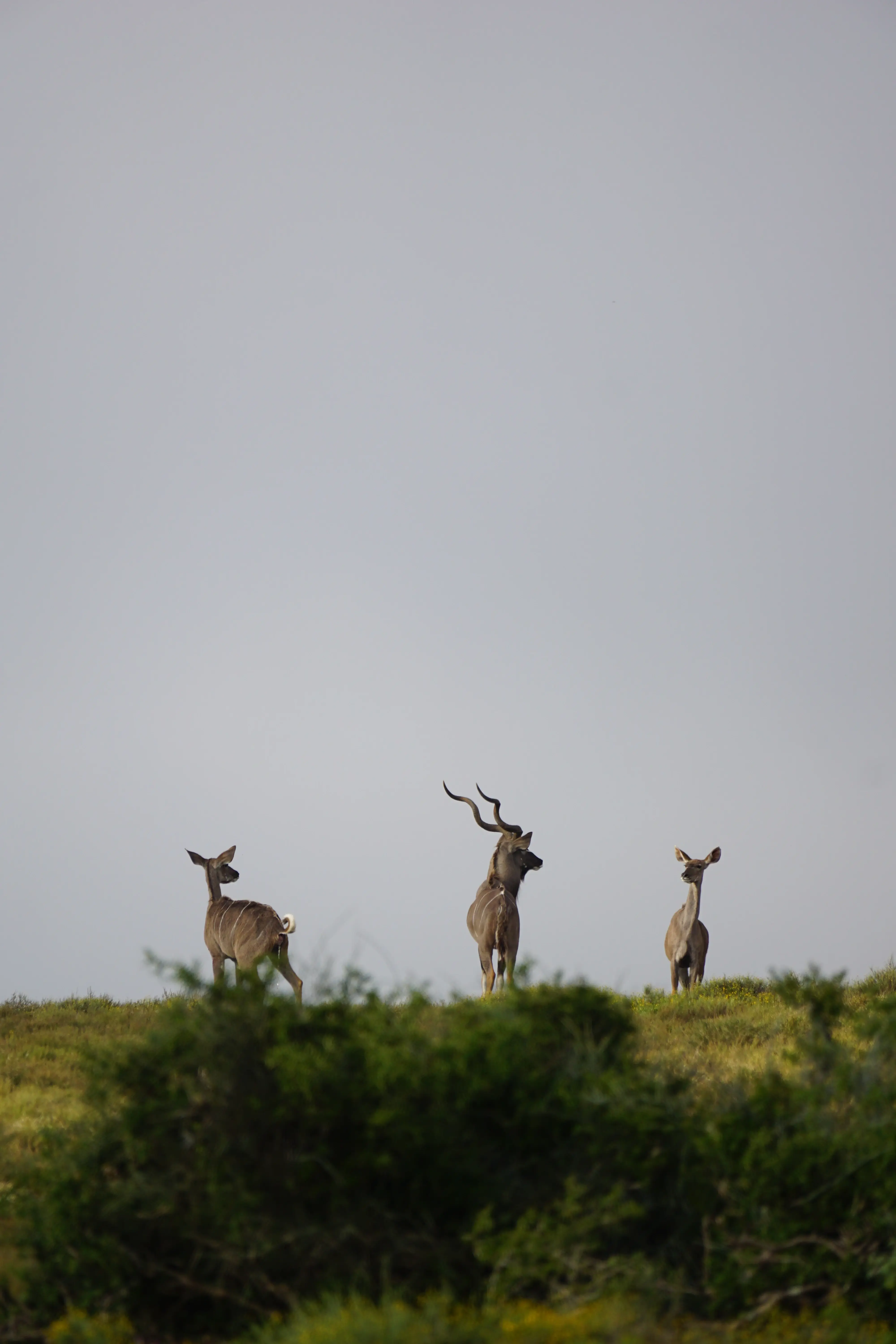 South Africa